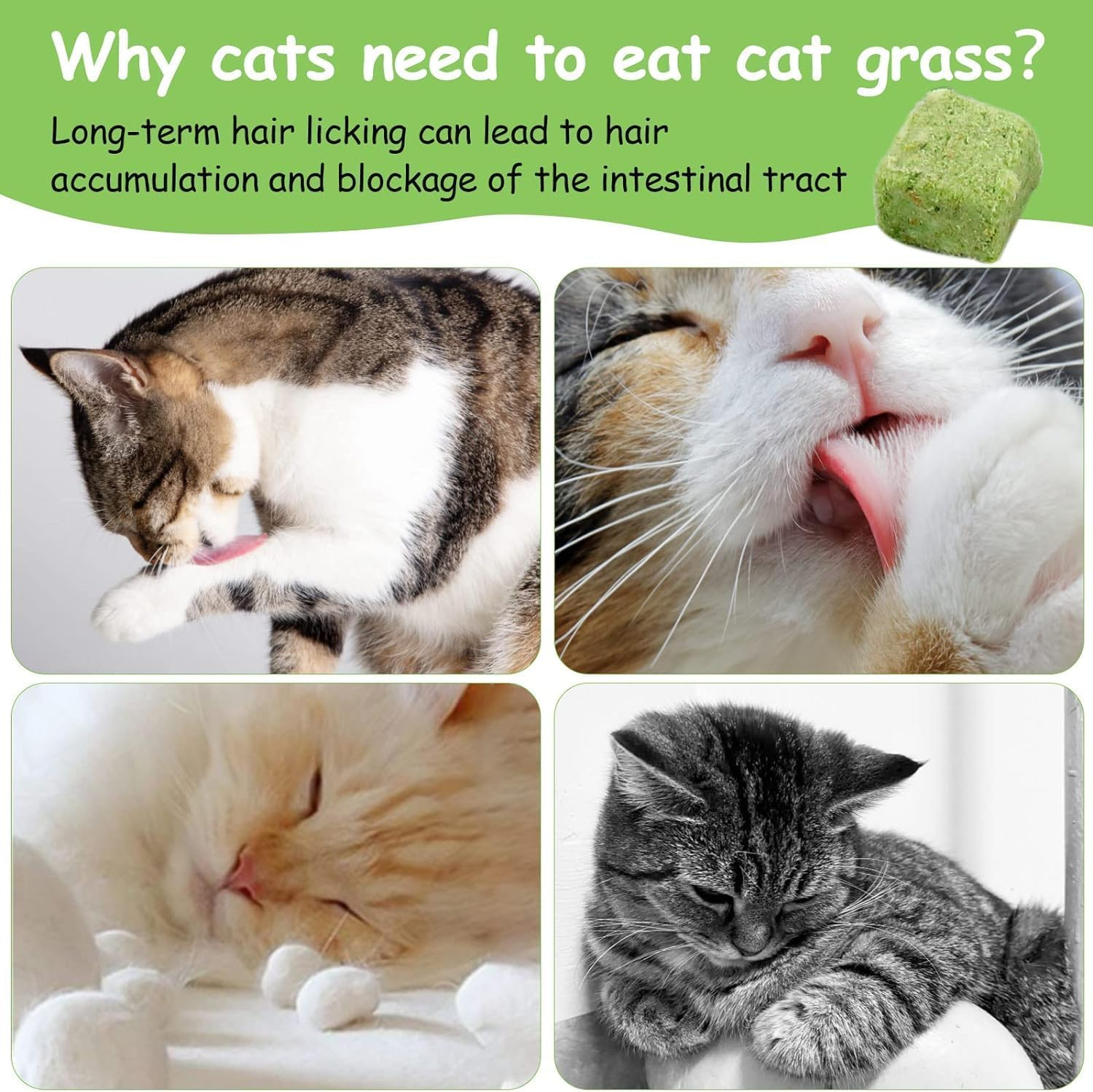 50G-Cat Grass Stick Treats, Catnip Chew Toys for Cat, Natural Dried Snacks Grinding Rod for Indoor Kitten, Edible Cat Molar Toys for Cleaning Teeth Remove Hairball