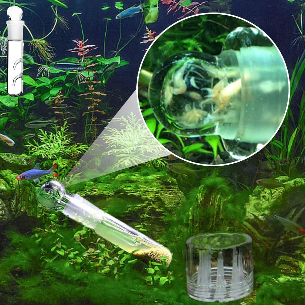 WEZCHUGHAOL Planaria Trap for Aquarium - 3Pcs Glass Leech & Bristle Worm Catcher, Shrimp Tank Cleaner with Dual Entrance Design, Safe Flatworm/Planaria Remover for Freshwater Fish Tank Accessories image number 2