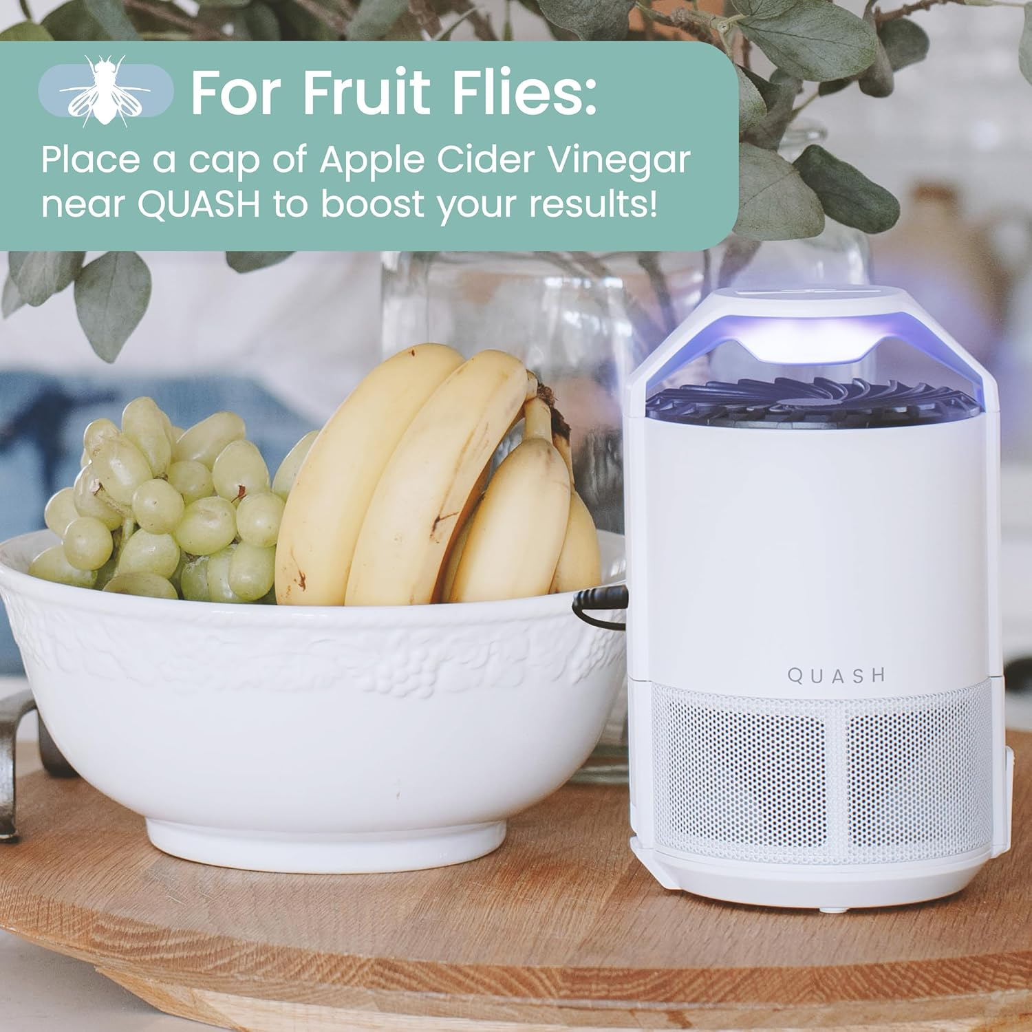 QUASH Indoor Fly Trap &ndash; Non-Zapper Mosquito & Bug Catcher with UV Light, Suction Fan & Sticky Glue Board &ndash; Safe & Effective Fly Swatter for Mosquitoes, Gnats, Mozzies, & Moths (White) - White Insect Trap image number 4