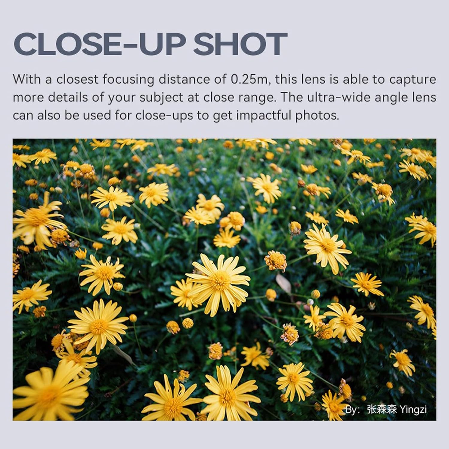 TTARTISAN 10Mm F2 ASPH APS-C Ultra Wide Large Aperture Manual Focus Lens for Canon Rf-Mount Cameras EOS R RP R5 R6 R7 R10