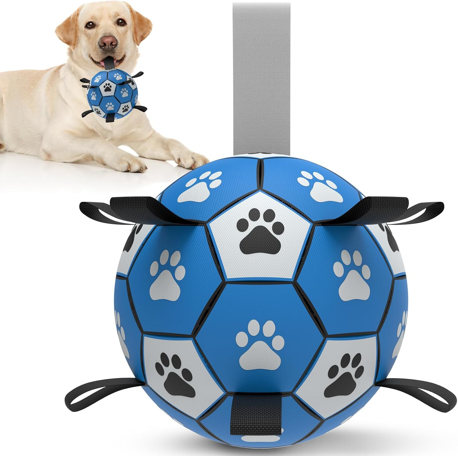 HETOO Dog Ball, Dog Toy Ball with Rope, Interactive Dog Ball for Touring, Durable & High Bounce & Floating Ball for Dogs, Birthday Gifts, Indoor & Outdoor, Medium (6 Inches)