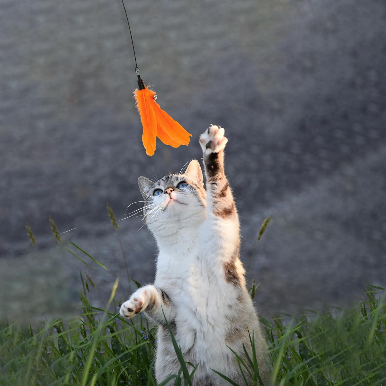 CAPASTEC 2 Pcs Feather Cat Stick Replacement for Interactive Pets Orange image number 5