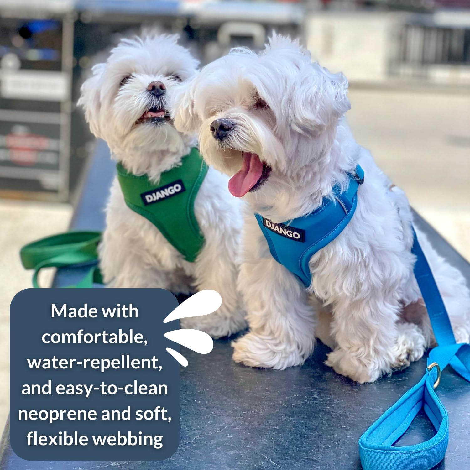 DJANGO Adventure Dog Harness - Stylish and Durable Medium Dog Harness for Outdoor Adventures and Everyday Wear - Forest Green Neoprene Adjustable Harness for Dogs with Reflective Piping, Brass D-Ring image number 4