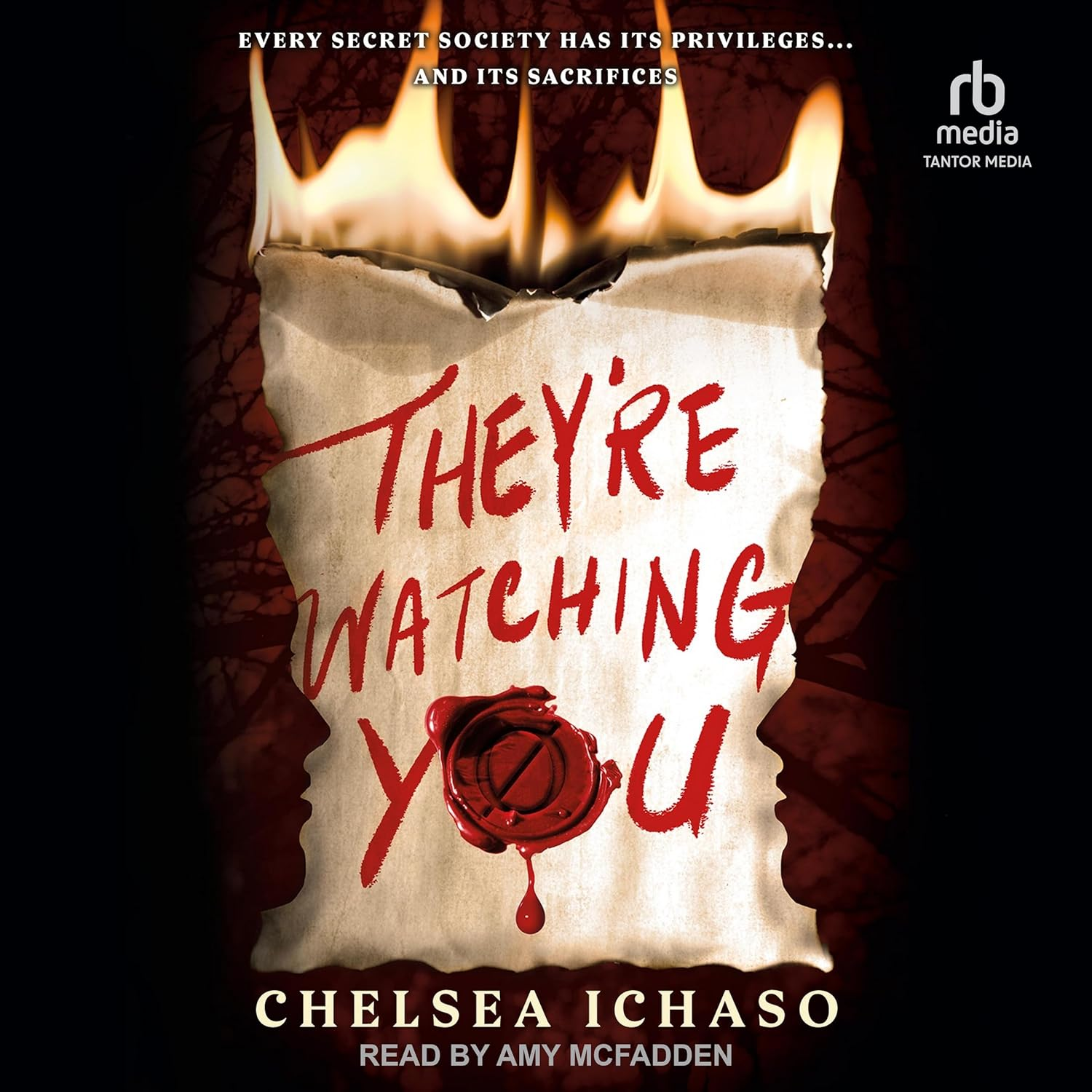 They'Re Watching You image number 1