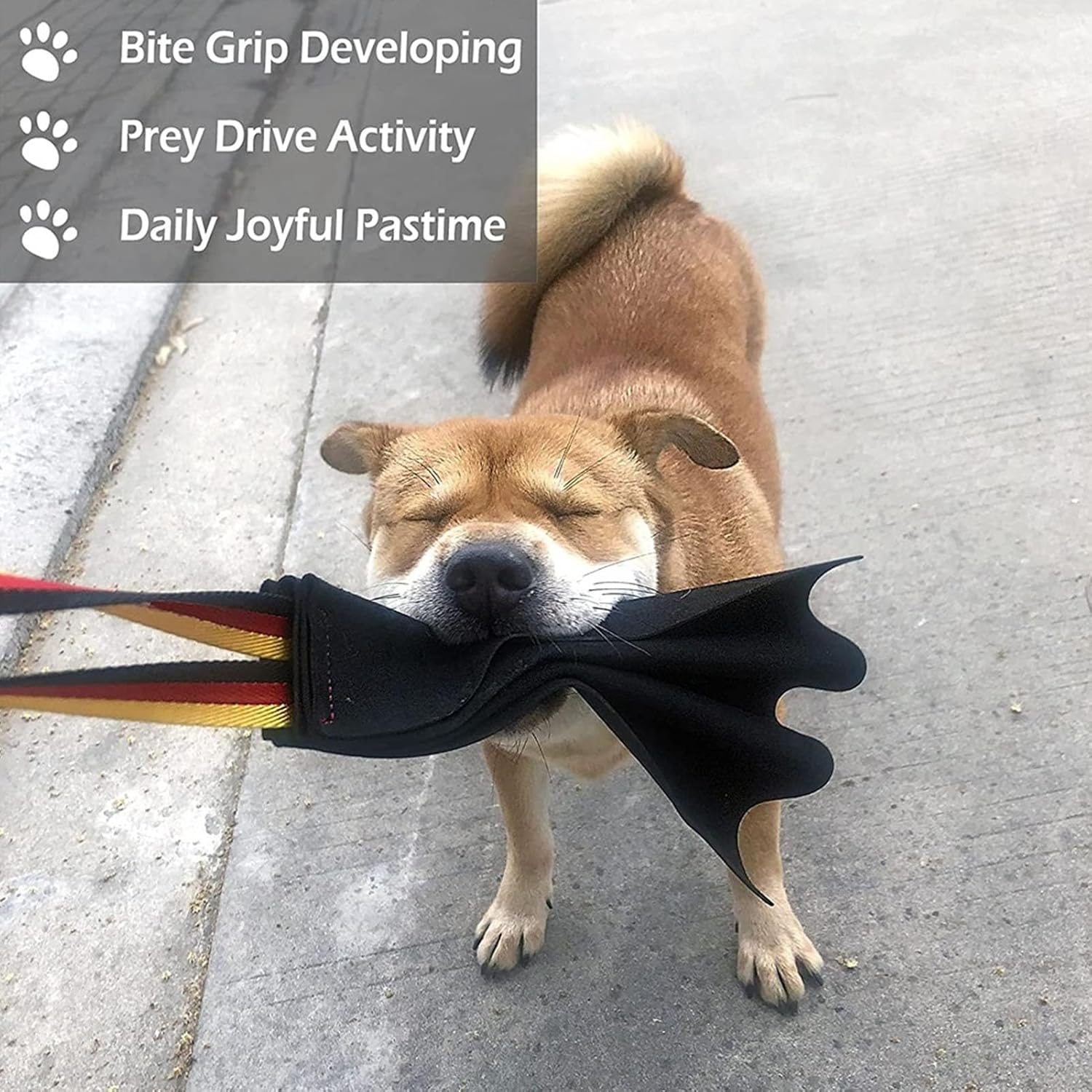 Bite Rag for Dogs Train Bitegrip, Build Prey Drive Leather Interactive Tug of War Toy with Handle for Dog Training, Leather Tug image number 6