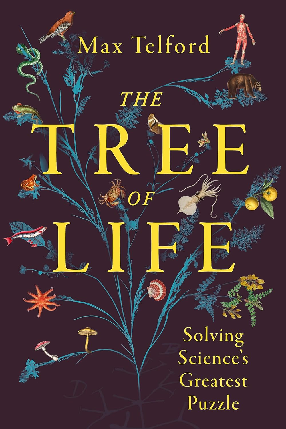 The Tree of Life: Solving Science'S Greatest Puzzle image number 1