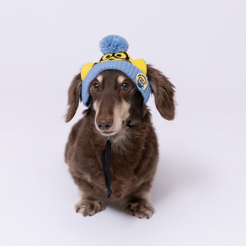 Three Arrows Bob Dog Knit Hat Small image number 4