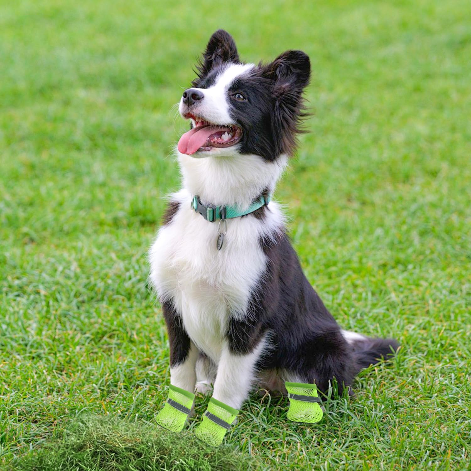 2 Pair Dog Sock, Dog Shoes Soft Mesh Boots Reflective Breathable Soft for Walking Injured Paws for Hot Weather (S) image number 2