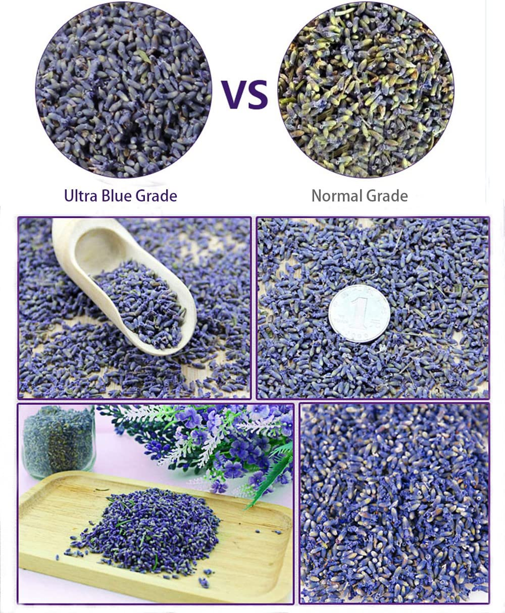Tooget Fragrant Lavender Buds Organic Dried Flowers Wholesale, Ultra Blue Grade - 1/2 Pound - 2 Pound image number 3