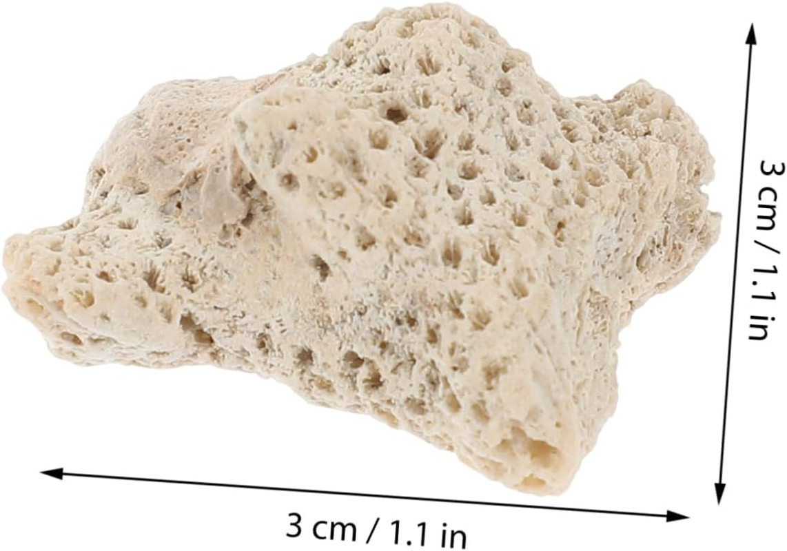 ERINGOGO 1 Crushed Coral Material Pond Sand Fish Water Cleaner Aquarium Crushed Aquarium Coral Feeder Aquarium Aquarium Test Kit Canister UV Torch Sponge Aquariums image number 4