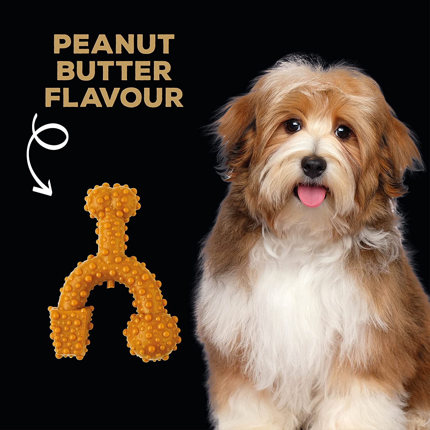 Tasty Bone Nylon Peanut Butter Trio Chew Dog Toy Extra Small image number 2