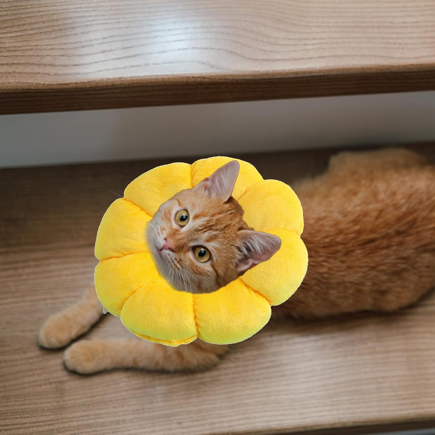 Sunflower Cat Collar, Cat Collar, Cat Collar, Soft Cat Collar, Cat Collar, Leak Protection Cat, Collars for Cats, Collar Cat, Suitable for Dogs and Cats after Surgery image number 6