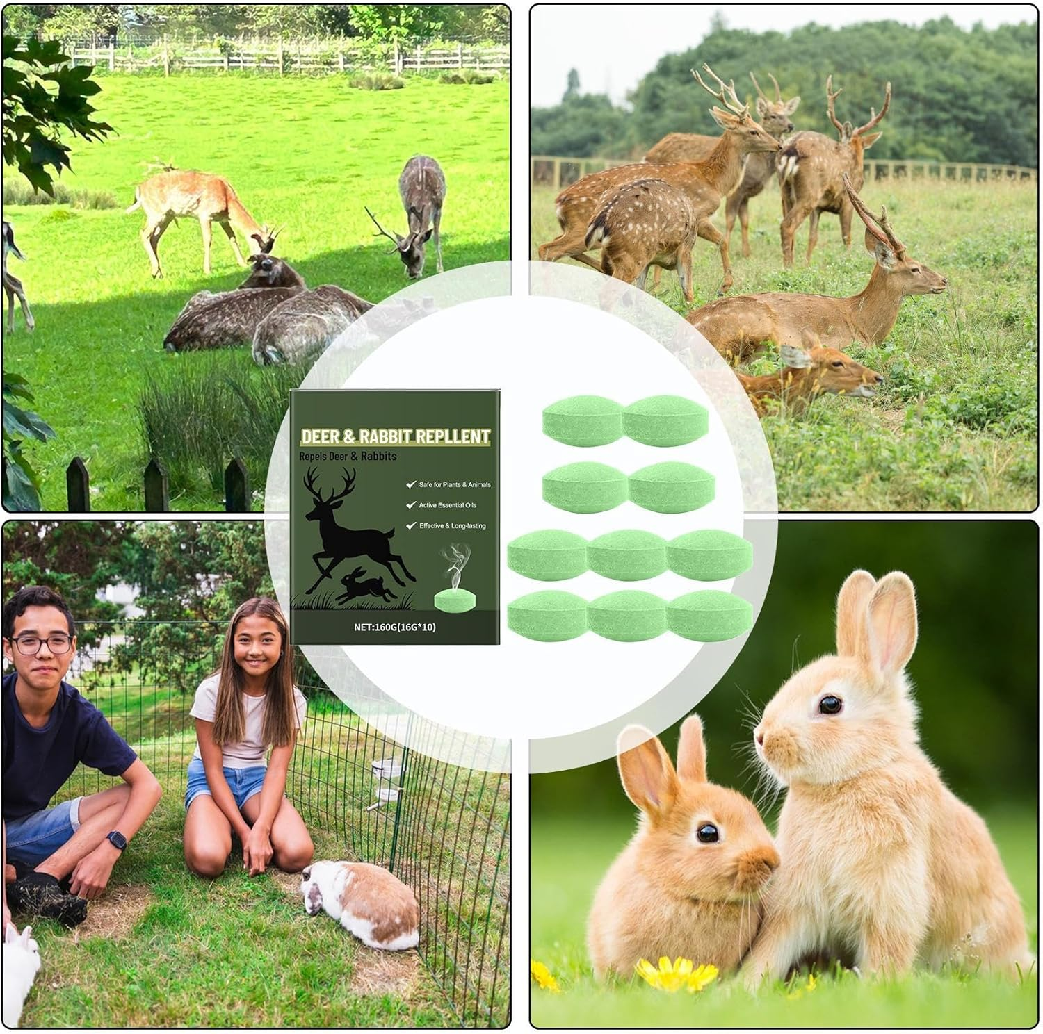 Deer Repellant for Yard - Deer Repellant Balls for Outdoor | Long-Lasting Protection Natural Peppermint Oil for Flowers Shrubs Vegetables Trees