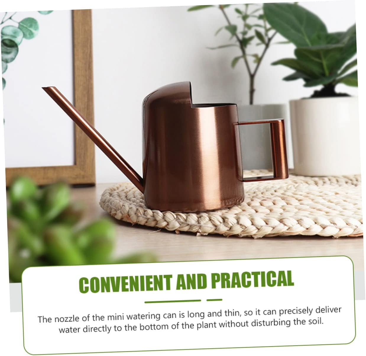 Stainless Steel Watering Pot Long Tip Small Gardening Watering Can for Plant image number 5