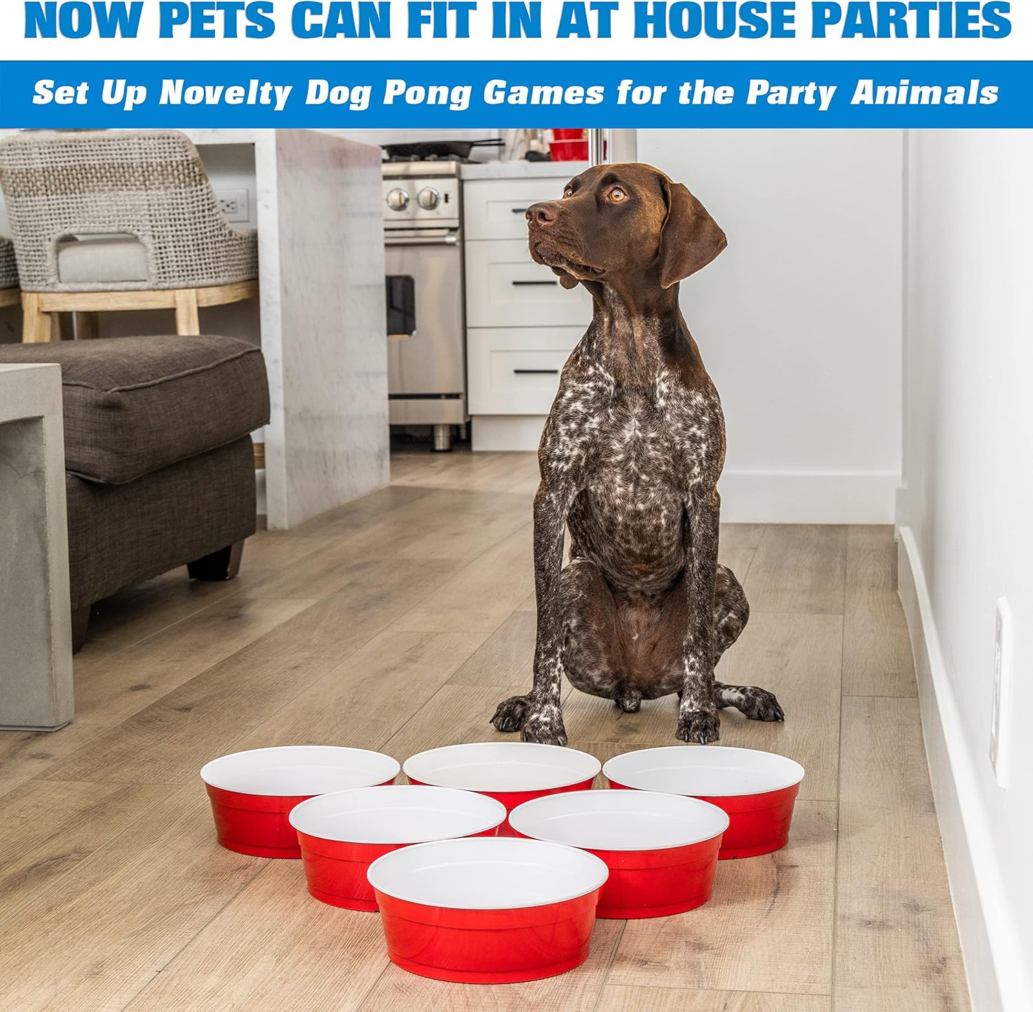 Party Dog Disposable Red Cup Style Pet Food Bowls for Cats and Dogs - Large and Small Sizes image number 1