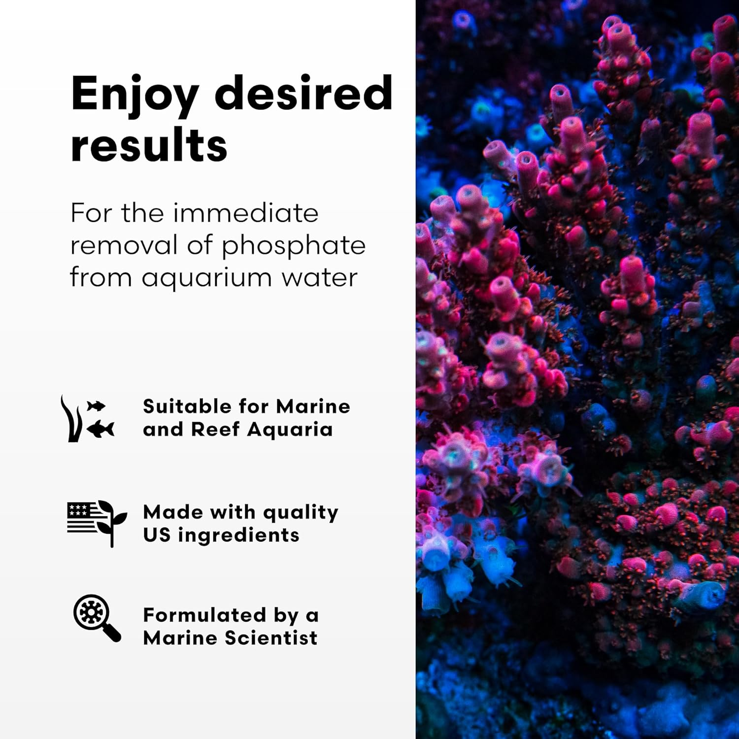 Brightwell Aquatics Phosphat-E - Liquid Phosphate Remover for Marine Fish and Reef Aquarium 250-ML image number 5