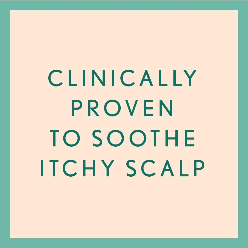 Aveeno Scalp Soothing Haircare Lightweight Moisture Rose Water & Chamomile Shampoo for Dry Hair 354Ml image number 4