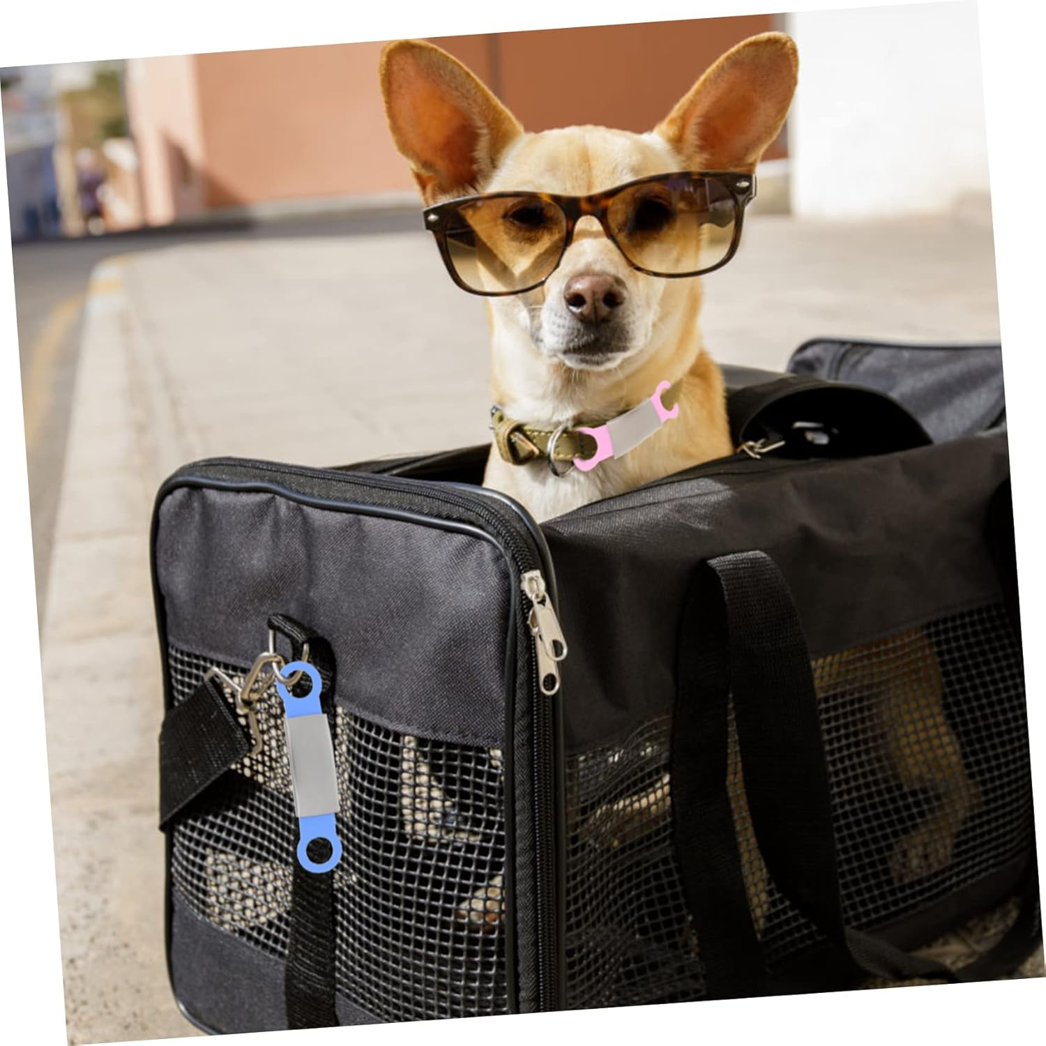 BUGUUYO 5Pcs Decorative Pet Name Tags for Dogs Personalized Dog Identity Tags Durable Pet Id Tags for Collars Dog Name Tags Dog Accessories for Pet Safety