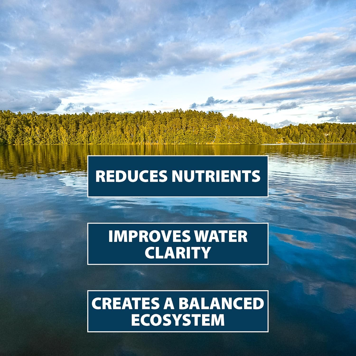 Pond Logic Pondclear 12 Pkts image number 5