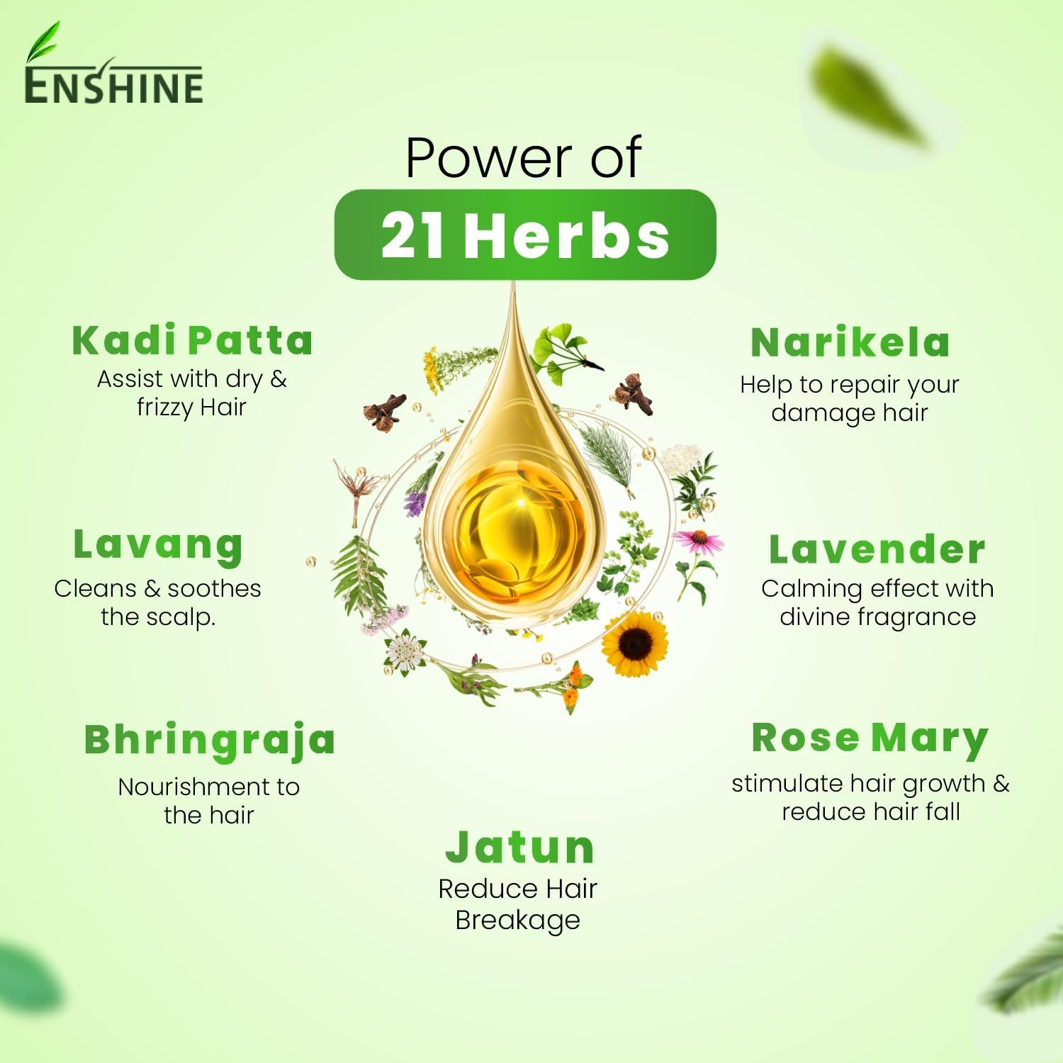 Enshine Medicated Hair Oil Combo Pack of 3 (100Ml Each) &ndash; Light and Non-Sticky | Free from Mineral Oil | Rich Blend of 21 Herbal Oils | Helps for Control Hair Fall and Make Dandruff Free Hair image number 5