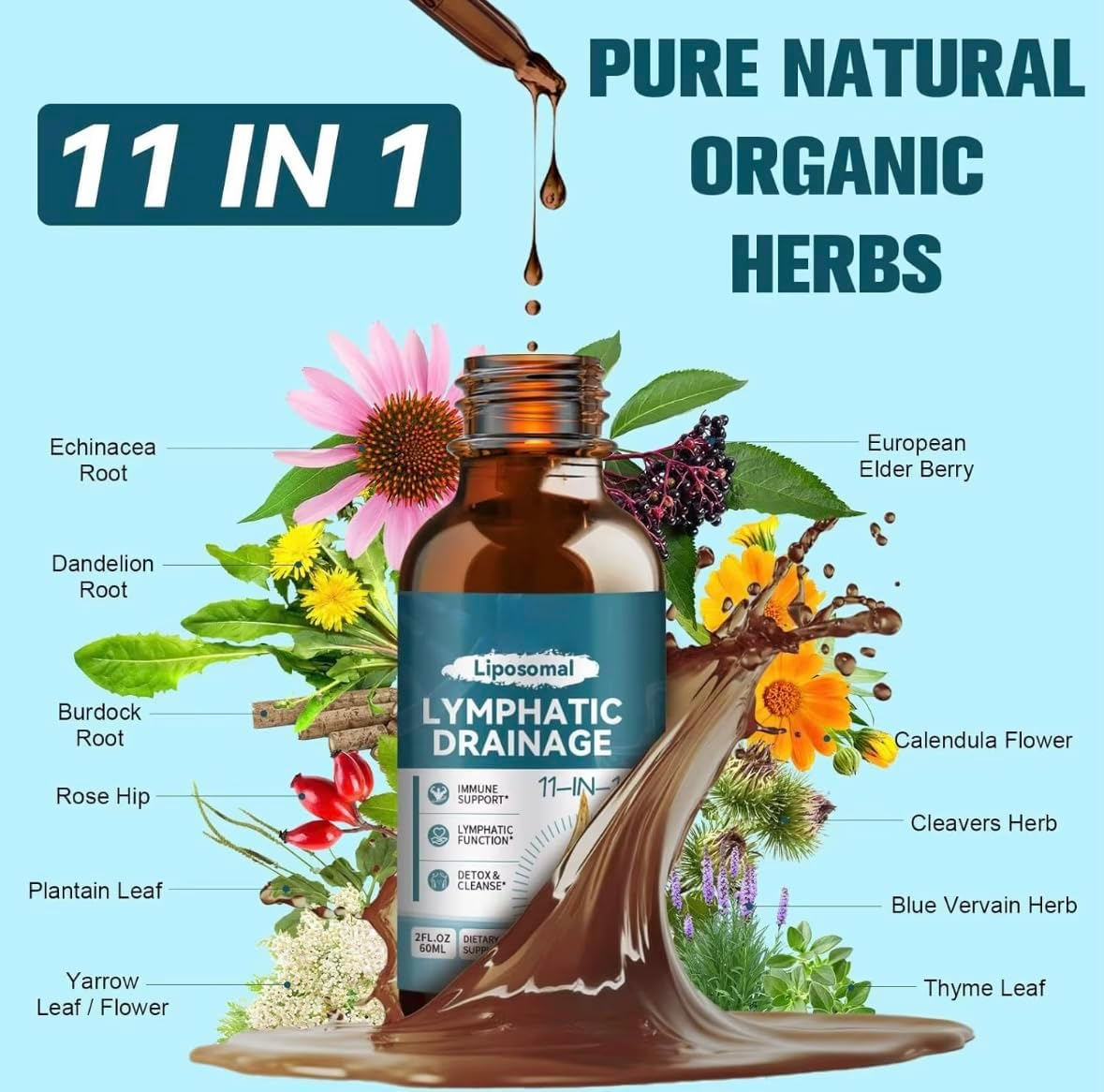 Lymphatic Drainage 11-In-1 Drops Herbal Blend with Elderberry, Burdock Root, Dandelion, Echinacea, Calendula & Cleavers, Raspberry Flavour Liquid Drops with Dropper, 60 Ml (2 Fl Oz) image number 2