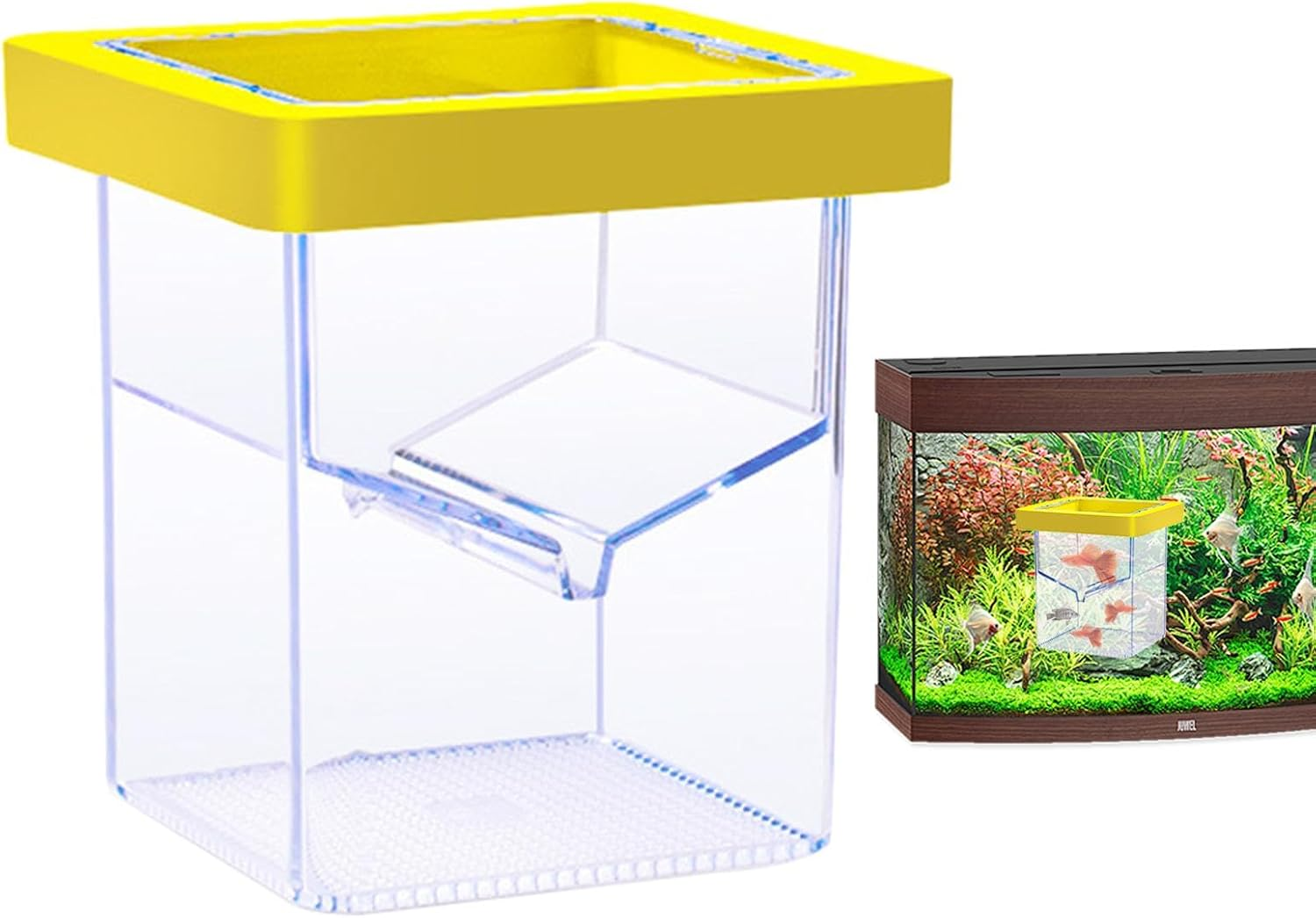 Ccuzs Fish Breeder Box, Aquarium Hatchery Incubator, Transparent Design Easy Installation Fish Nursery, Suction Cup Isolation Container for Aquatic Pets, 4.33X3.39X3.39 Inches
