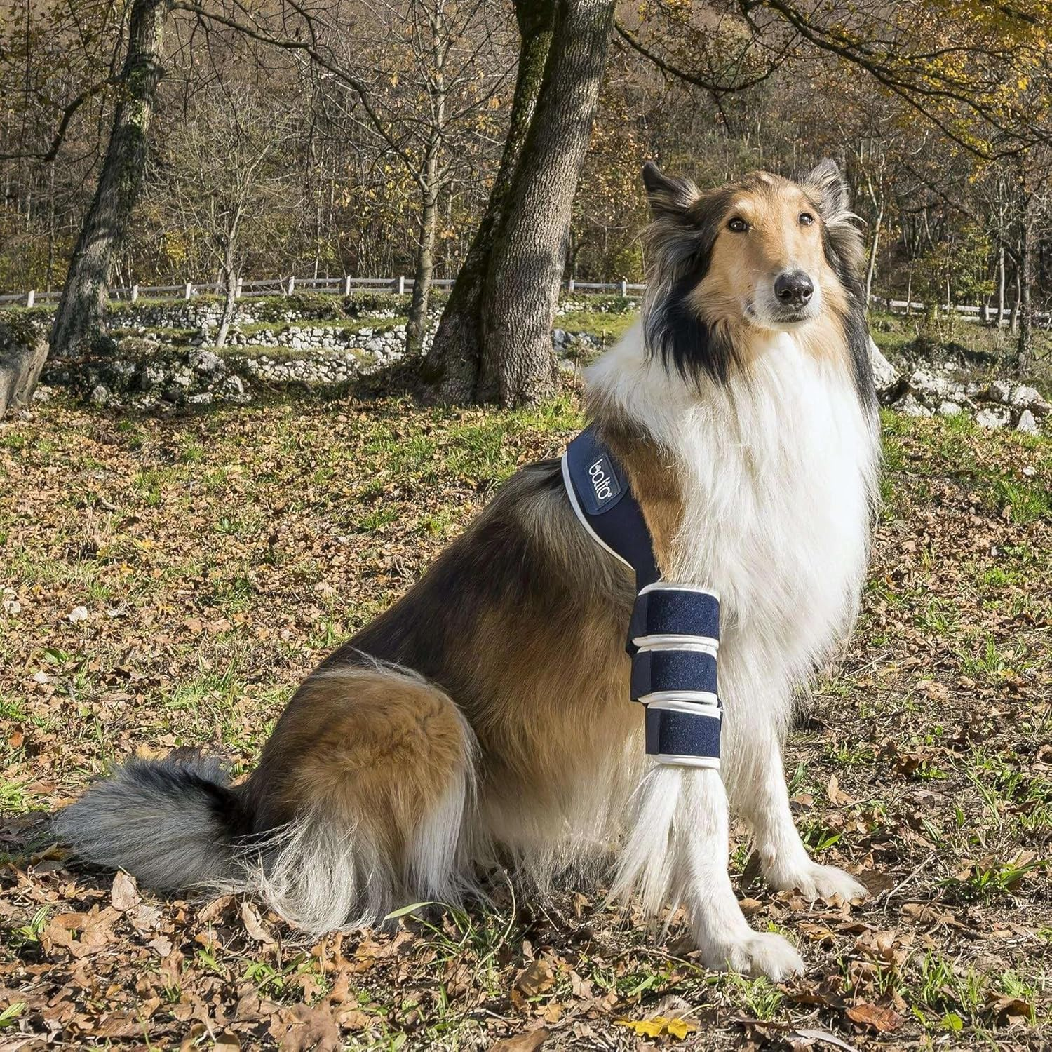 Anifull BT Soft Left Leg Elbow Joint Support Large Navy Dog image number 1