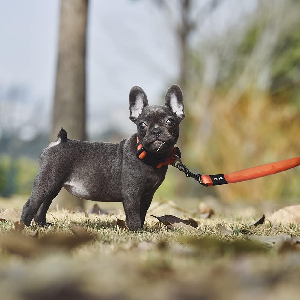 Blackdoggy Waterproof & Odor-Resistant Dog Collar, Heavy-Duty D-Ring & Adjustable Fit, All-Size Pet Collar for Small, Medium and Large Dogs (M, Orange) image number 3
