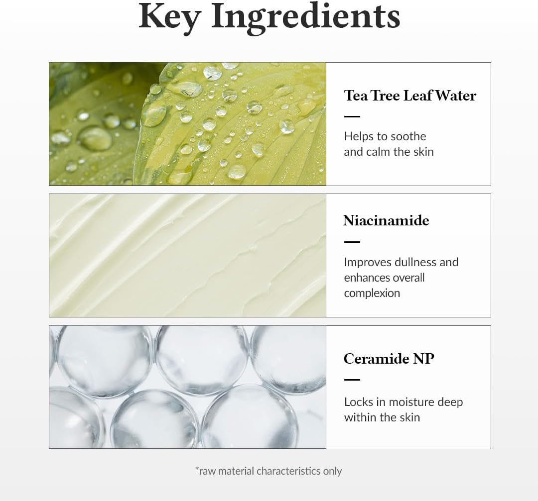 Dr.Althea 345 Relief Cream | Moisturizer for Soothing Recovery and Blemish Care with Tea Tree Leaf Water & Niacinamide | Korean Vegan Skin Care for All Skin Types, 50Ml (Ver.2 - Pack of 1) image number 4