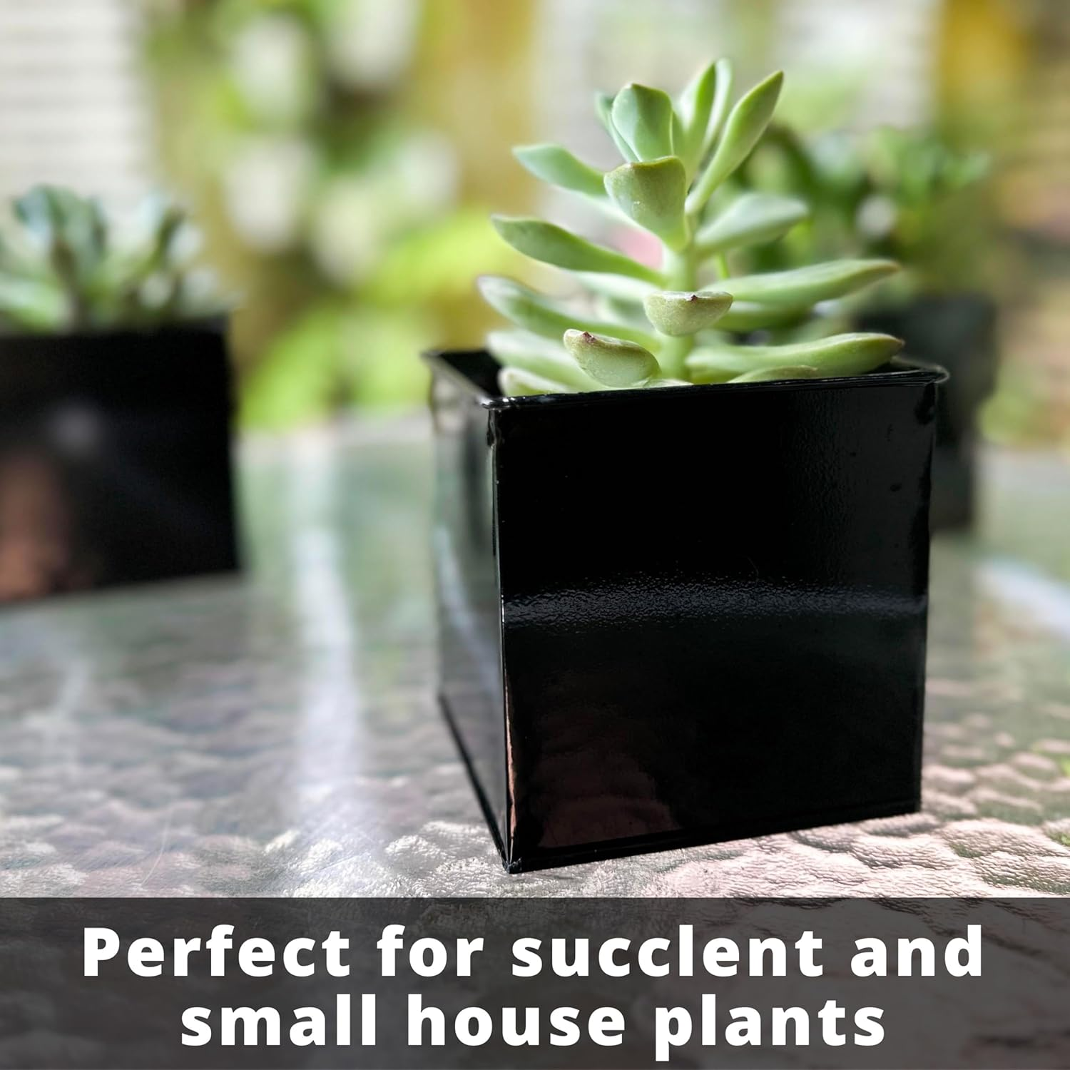 Lalagreen Wall Planter - 6 Pack, 4 Inch Square Metal Wall Planter for Indoor Plants, Small Black Wall Mounted Flower Pots Outdoor Garden Decoration, Balcony Planters Railings Hanging Outdoor - Black image number 2