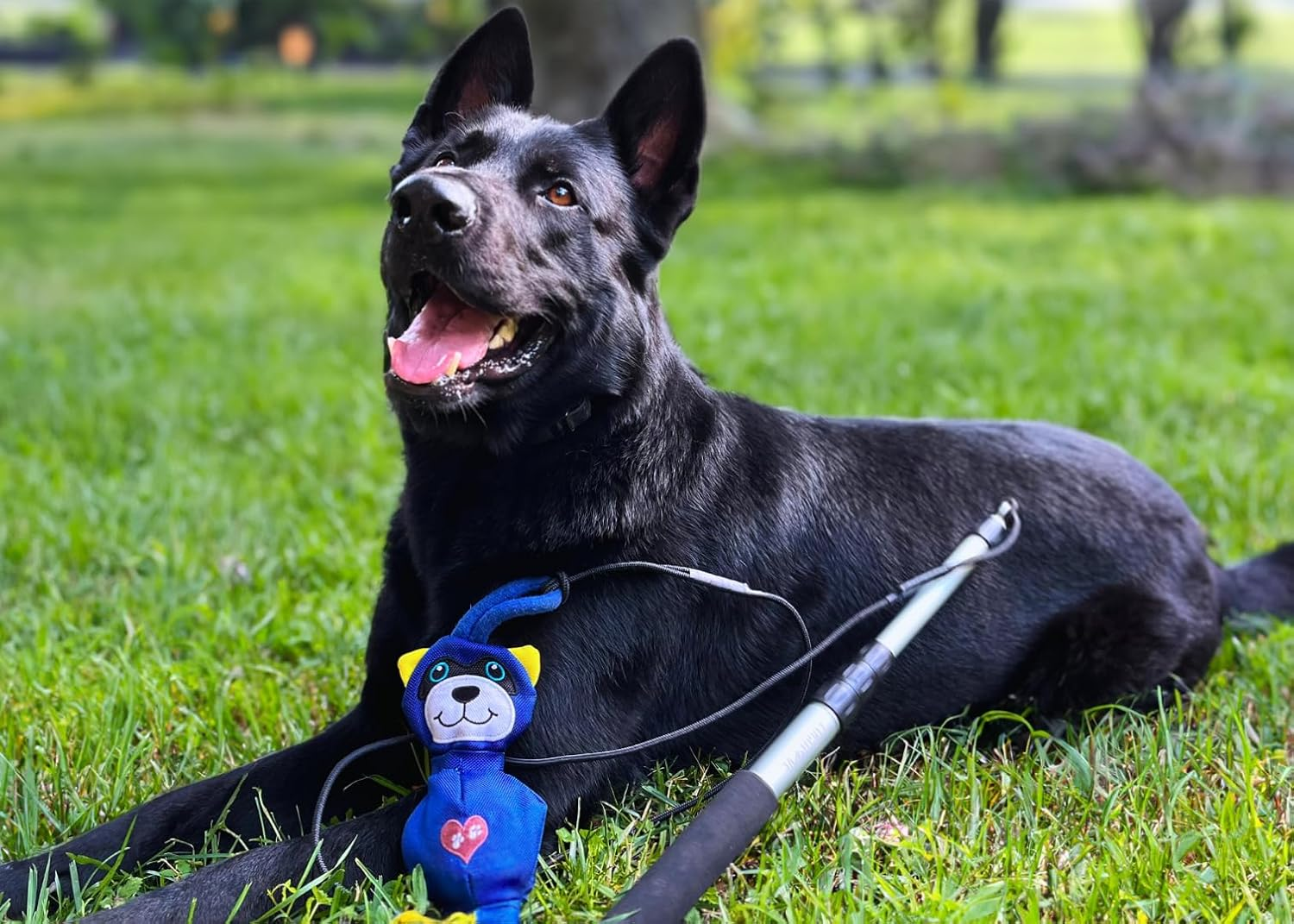 Replacement Rope for Mighty Strongbite Flirt Pole