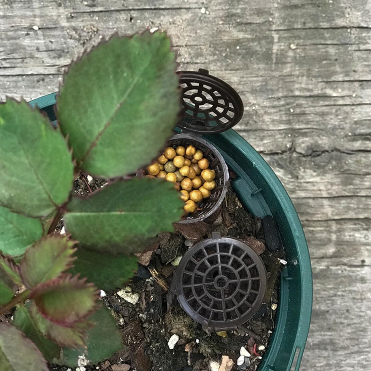 Kisangel 10Pcs Plastic Bonsai Fertilizer Boxes with Lids, Large and Small Gardening Fertilizer Containers for Slow Release Manuring, Orchid and Mini Planting Basket Set for Home Balcony image number 5