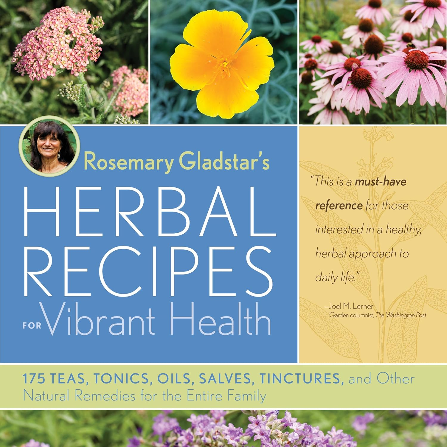 Rosemary Gladstar'S Herbal Recipes for Vibrant Health: 175 Teas, Tonics, Oils, Salves, Tinctures, and Other Natural Remedies for the Entire Family image number 3
