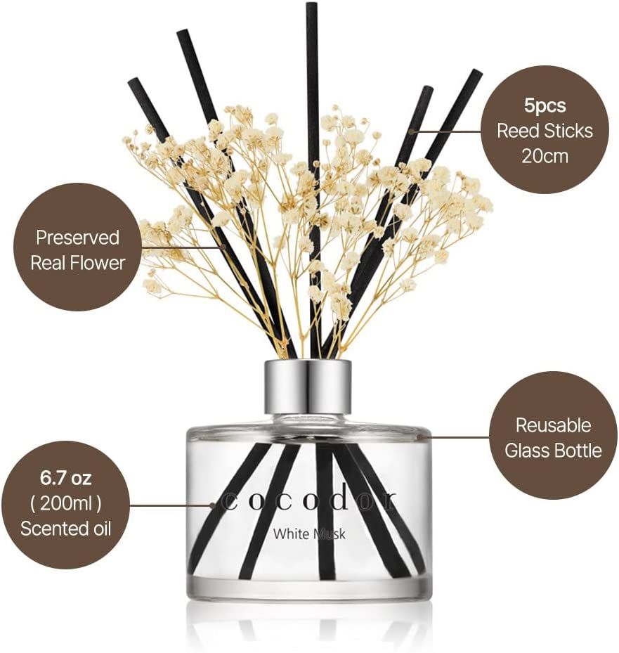 COCODOR Preserved Real Flower Reed Diffuser - April Breeze - 200Ml - Reed Diffuser Set, Oil Diffuser & Reed Diffuser Sticks, Room D&eacute;cor & Office D&eacute;cor, Home Fragrance, Gift