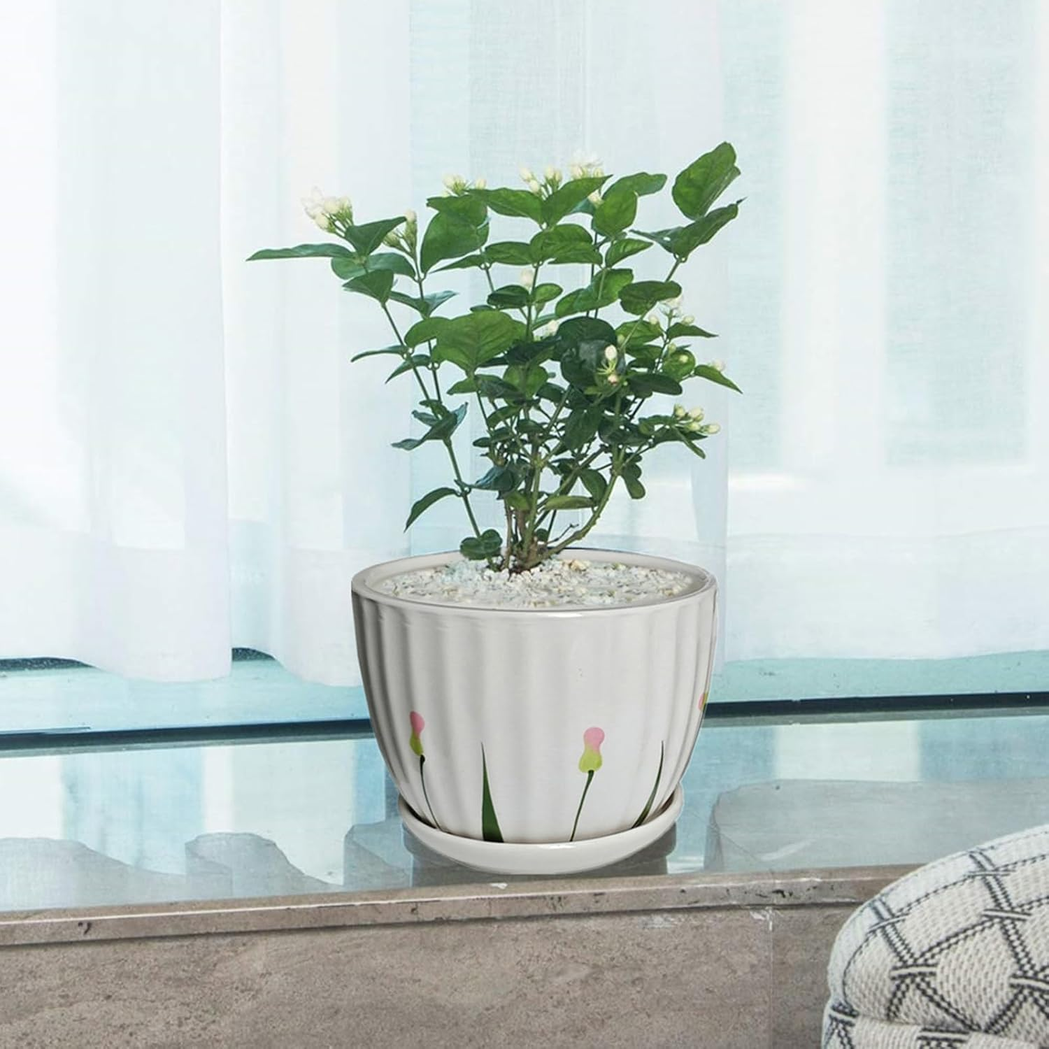 NASHRIO 3-Piece Small Ceramic Plant Pots with Drainage Holes - Indoor/Outdoor Decorative Flower Pots for Succulents, Mini Cacti, Herbs (Set of 3) (A) - C image number 7