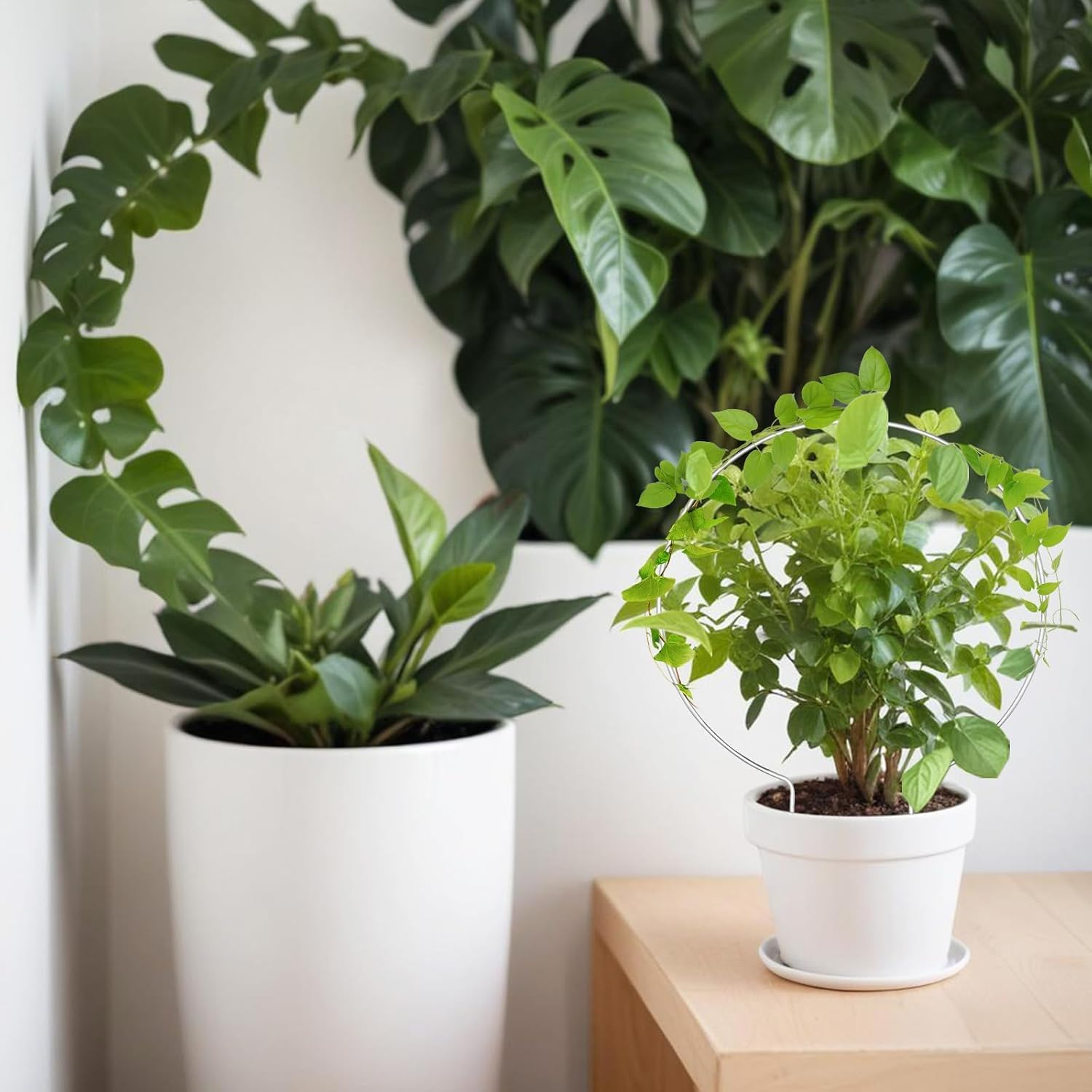 2PCS Small Trellis for Potted Plants, Circle Trellis with Plant Tape, Plant Climber Support for Climbing Plants Indoor Outdoor, Plant Trellis for Vines Flower Topiary Frames (Silvery)