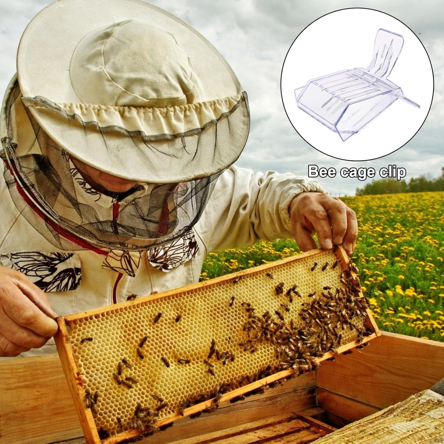 Queen Bee Clip, Queen Bee Keeper Catcher Clips, Beekeeper Catching Clips, Queen Bee Marking Catcher for Safely Capture, Store and Mark image number 4