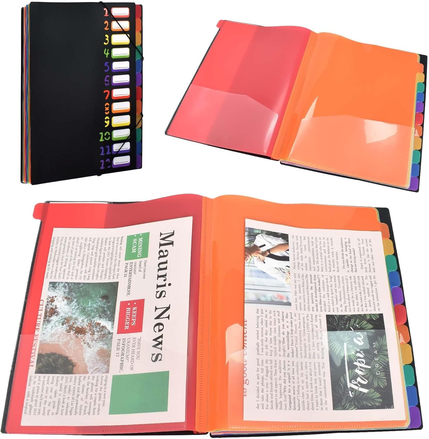 Expanding File Folder Project Binder A4 Organizer Desk Binder 12 Compartments 24 Pockets Plastic Accordion Document Organizer Colorful File Folders for School Office Supplies, Black image number 5
