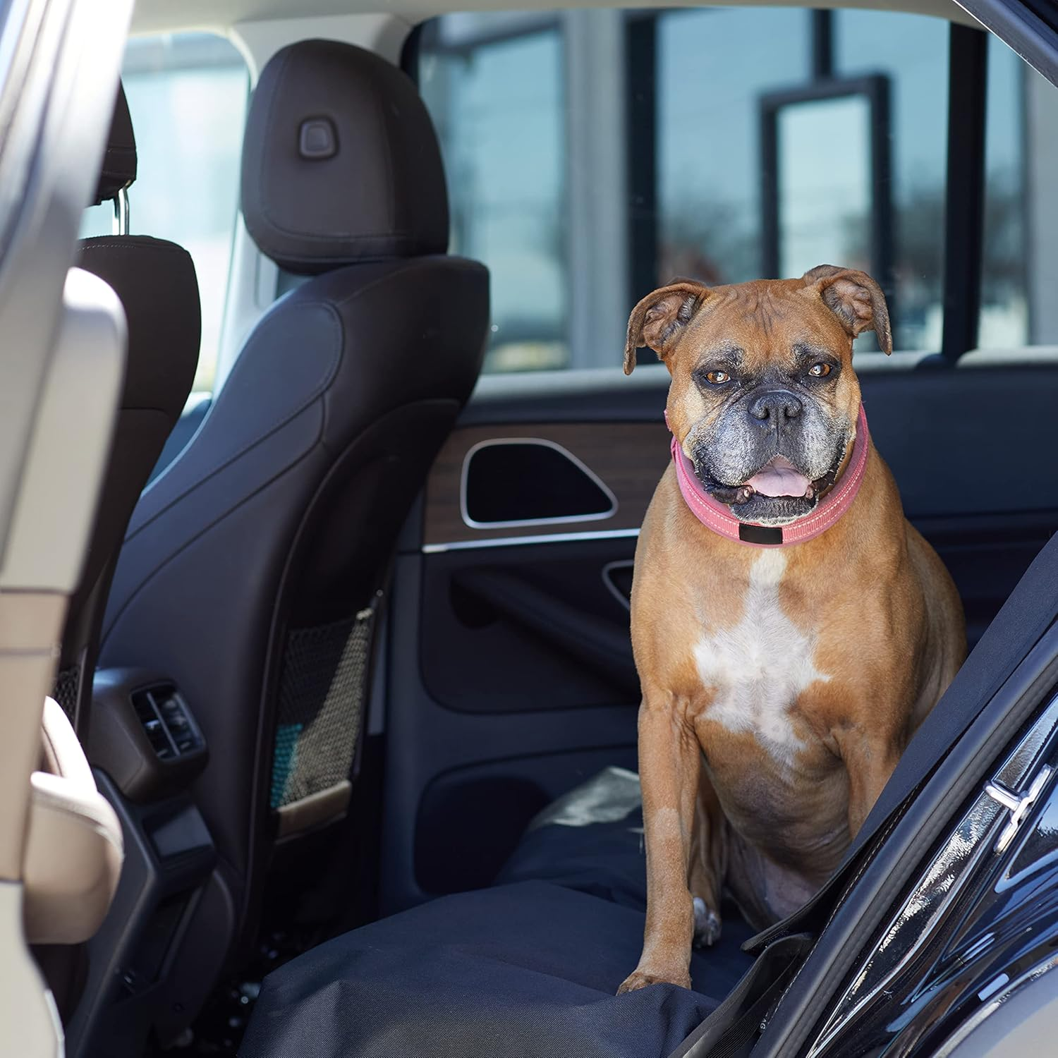 Amazon Basics Waterproof Car Back Bench Seat Cover Protector for Pets - 142 X 119 Cm, Black