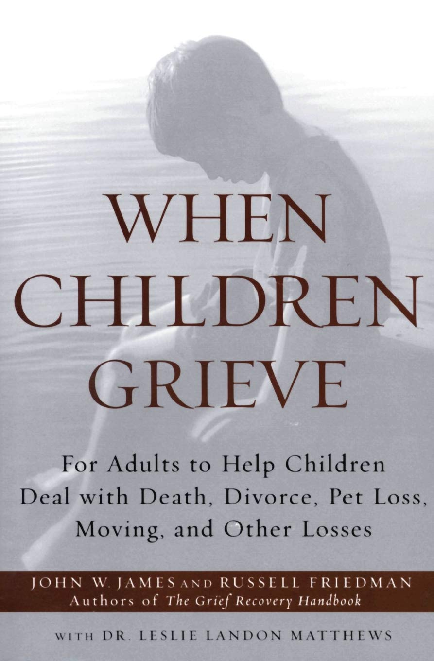 When Children Grieve: for Adults to Help Children Deal with Death, Divorce, Pet Loss, Moving, and Other Losses image number 1
