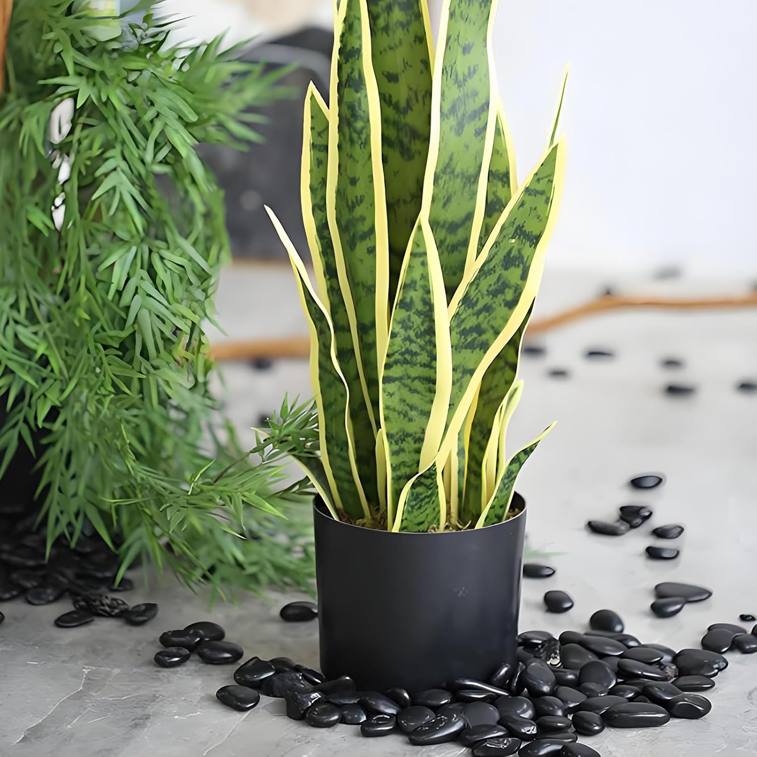 Black Pebbles - 3/8 Inch Small Stones for Indoor Plants, Succulents, Aquariums & Landscaping