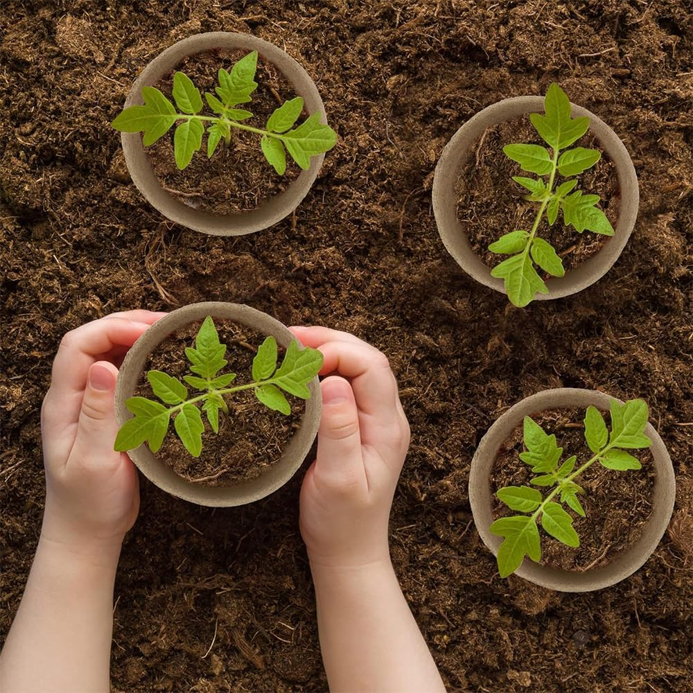 100 Pcs 8CM Seed Starter Pots, Organic Planting Peat Pots for Garden Seedling, Eco-Friendly and Biodegradable Seedling Pots for Seed Germination image number 5