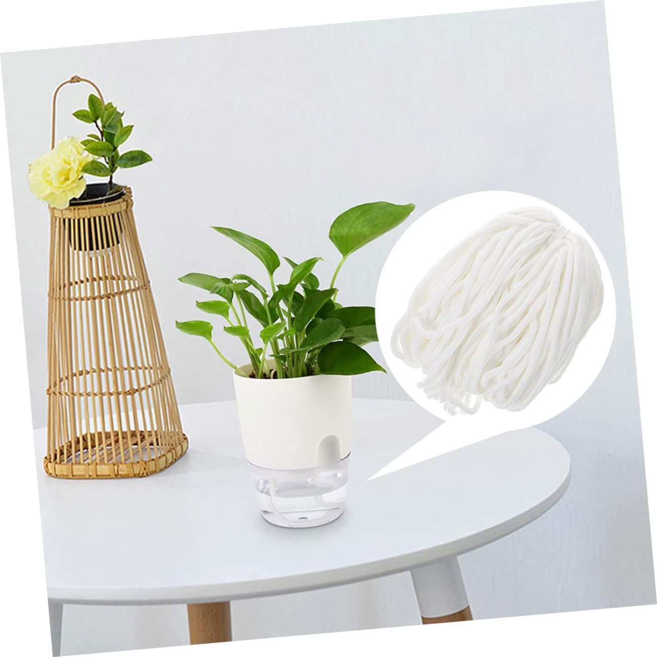 Kisangel Self-Watering Planter Rope Cotton Thread for Hydroponic Potted Plants Water Absorption Wick Cord for Garden Supply image number 5