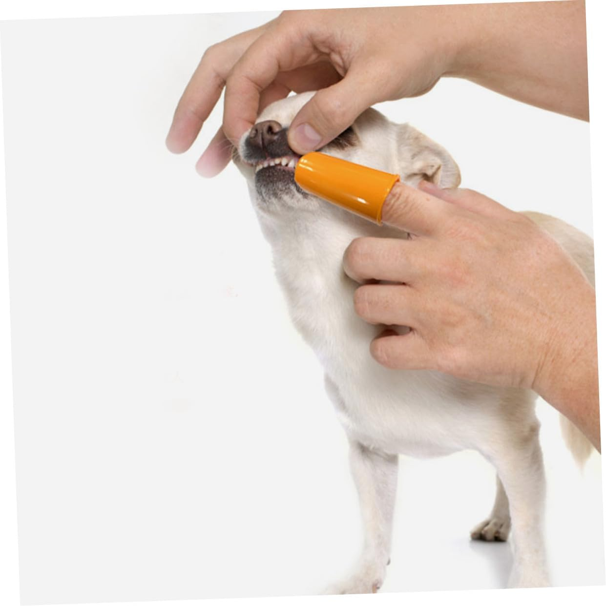TEHAUX Dog Toothbrush Finger Kit Pet Tooth Cleaning Tool Cleaning Mouth Toothbrush for Small to Large Dogs Cats image number 1
