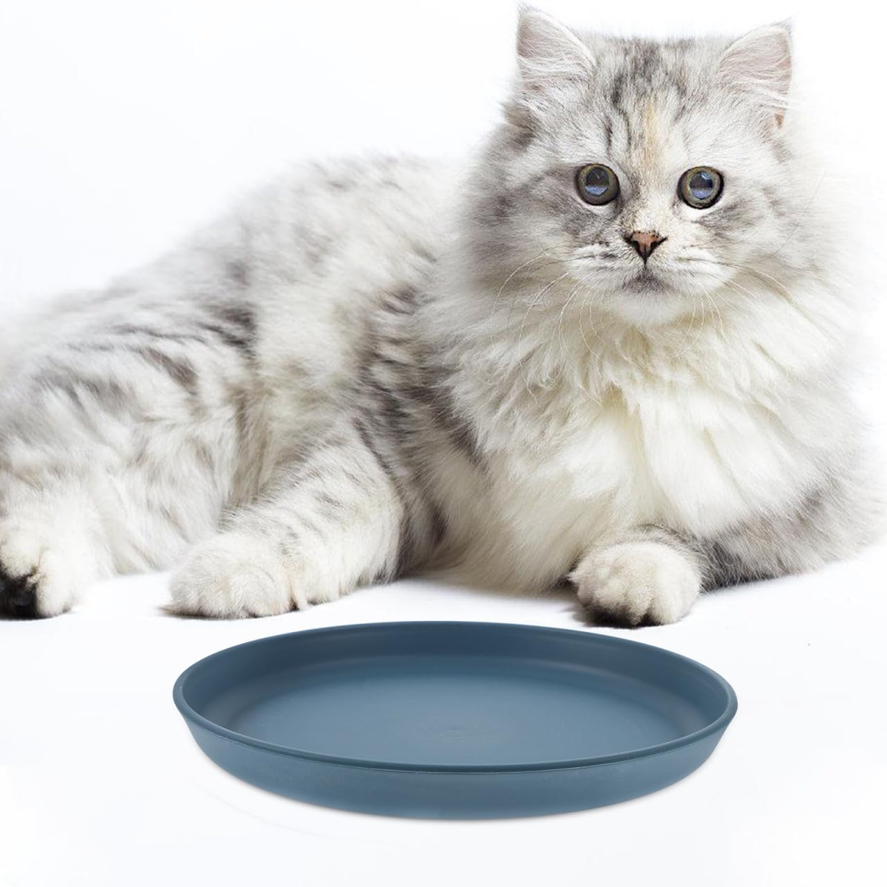 5Pcs Cat Bowls, Unbreakable Pet Feeding Dishes, Shallow Plates for Cats, Assorted Colors, Safe Food-Grade Material, 5.8 Inch Diameter image number 3