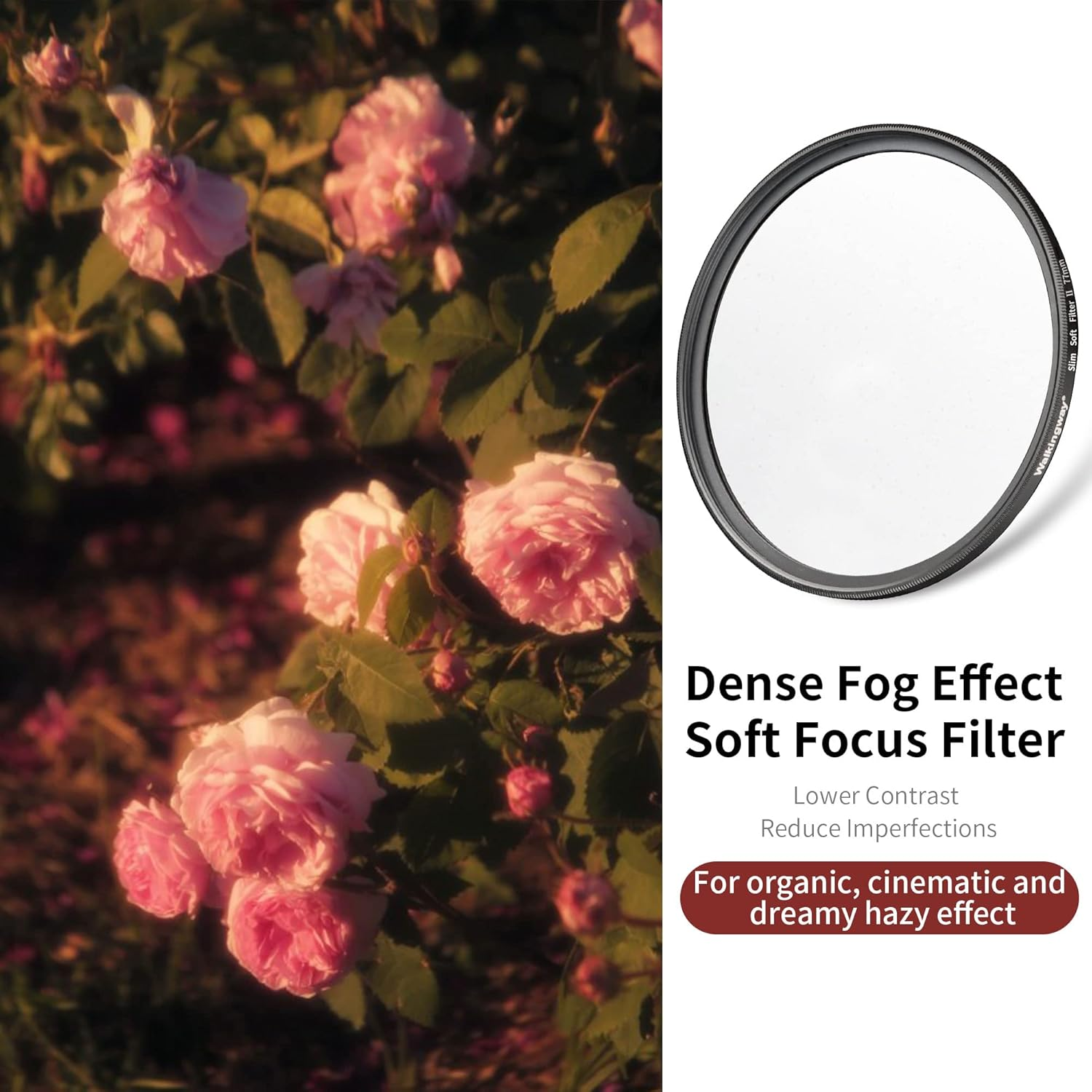 Walking Way White Mist Filter 67MM Soft Focus Filter Circular Diffusion Filter Dreamy Fog Effect Camera Lens Fliter for Video/Vlog/Portrait Photography(Medium-Soft 2, 67MM) image number 4
