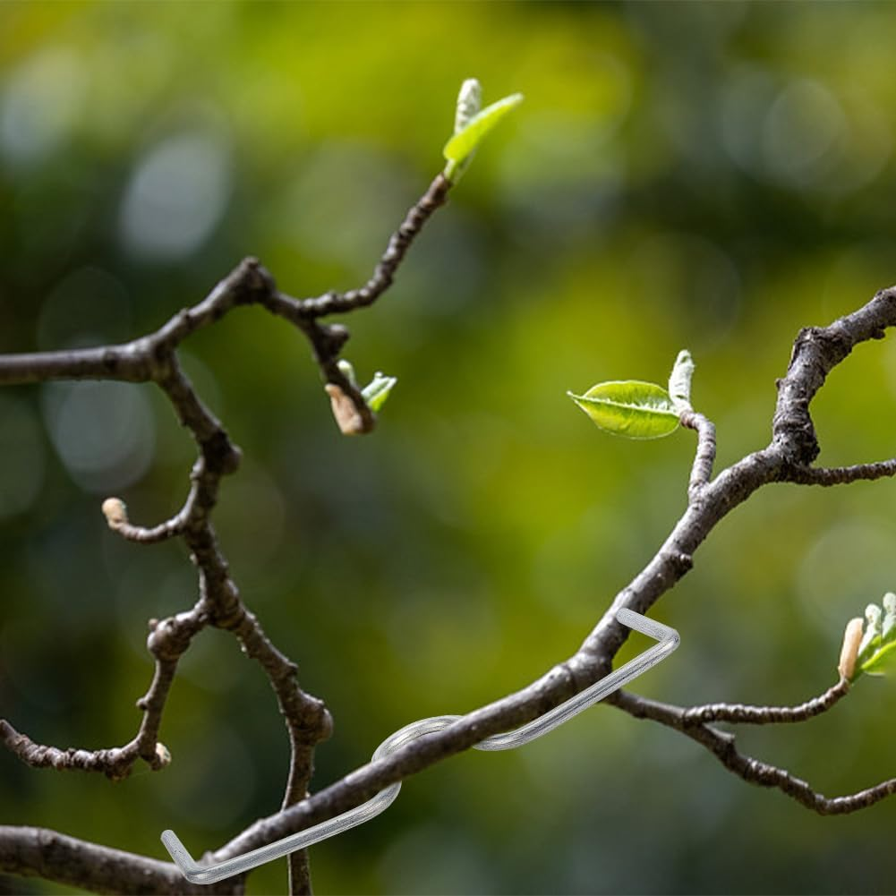 WEBEEDY 20 PCS Tree Branch Puller Tying Machine M-Shaped Tree Branch Spreader Branch Bending Tool for Shaping Fruit Tree Branches image number 5