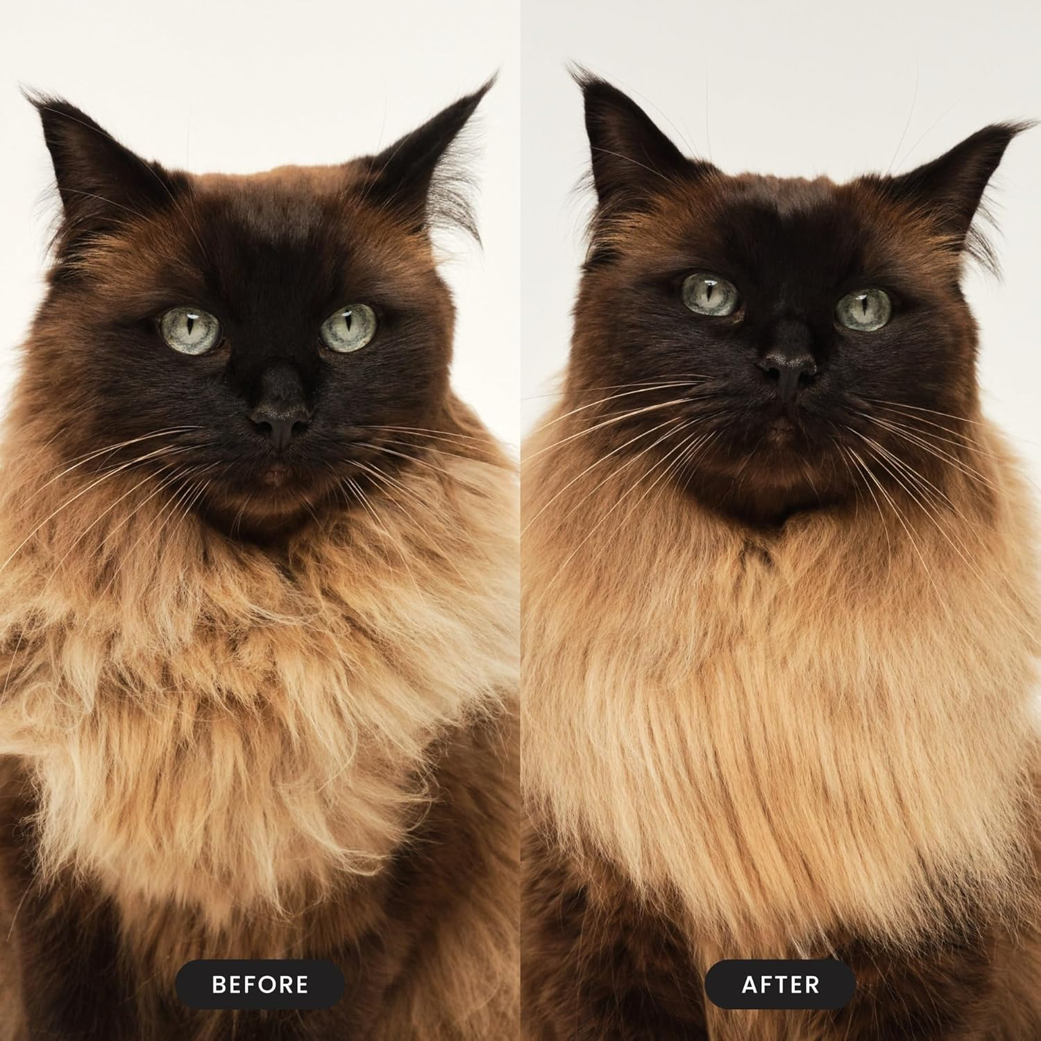 Tangle Teezer | Pet Teezer | Cat Grooming Brush | Short, Medium Hair | Soft Bristles to Detangle Knots | Green - Pink image number 6