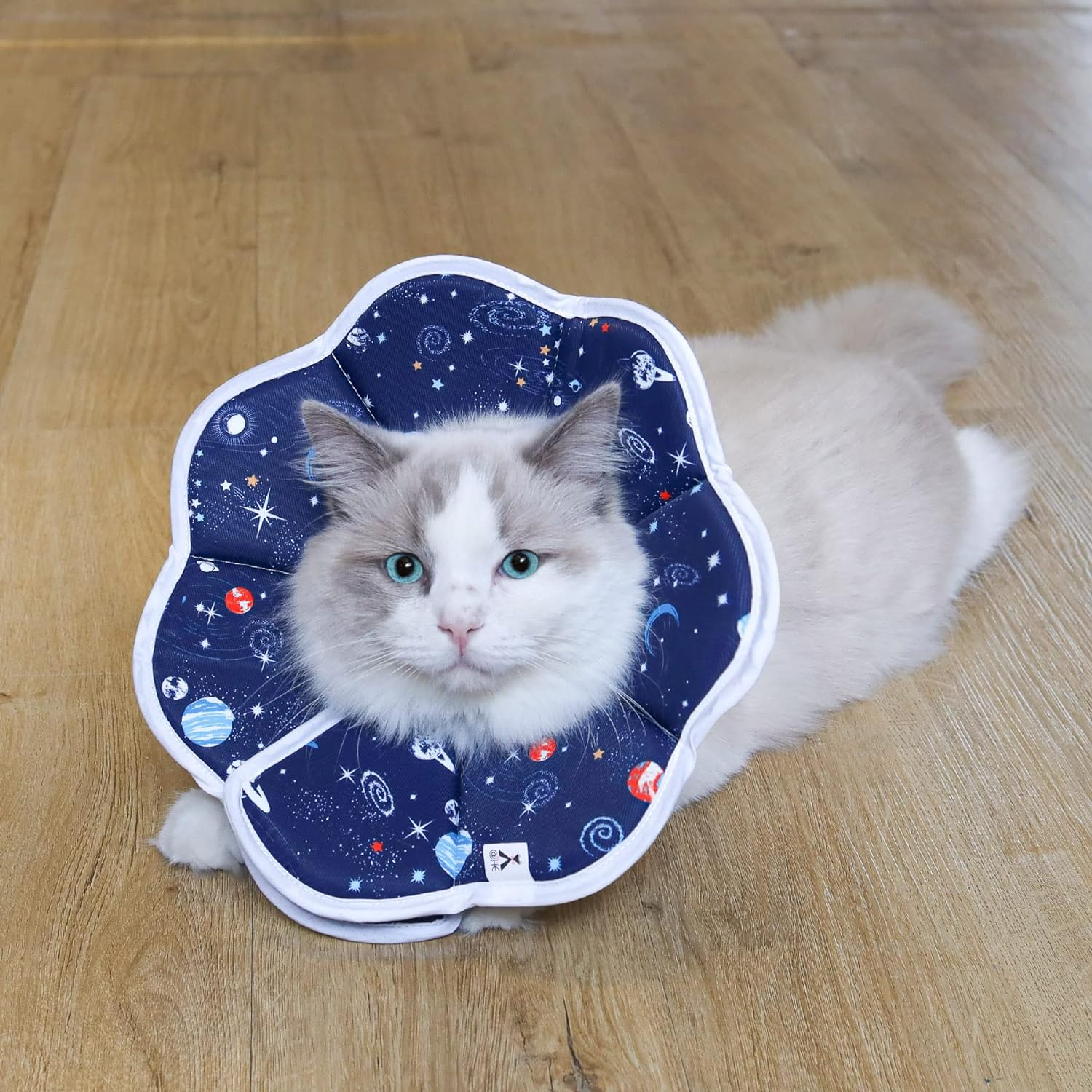 Soft Cat Recovery Collar, Protective Adjustable Pet Collar,Waterproof Comfortable Lightweight Elizabethan Collar for Cat Kitten Prevent from Licking Wounds, Not Block Vision image number 2