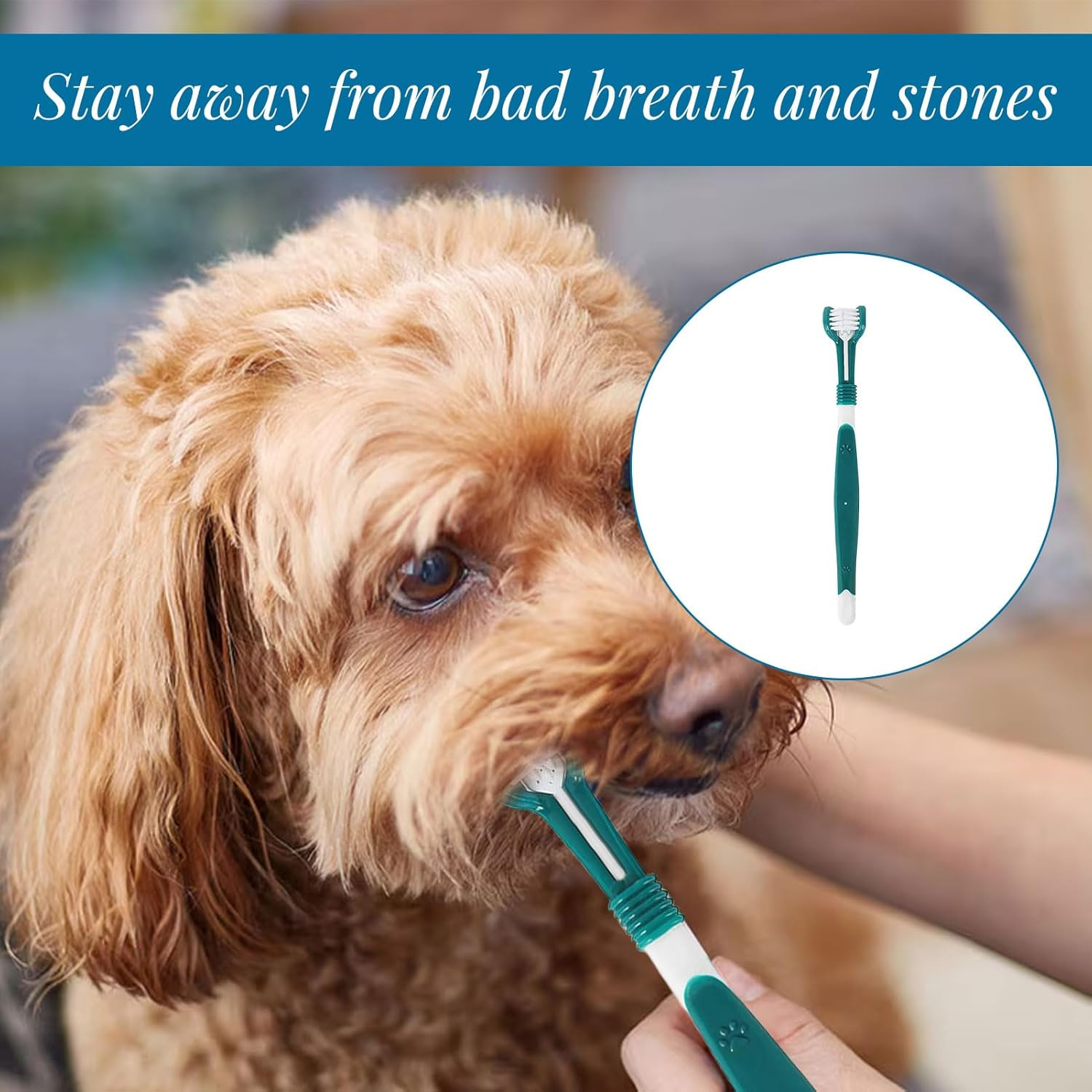 Dog Toothbrush, Cat Toothbrush, Dog Brush Kit with 2 Triple Head Dog Toothbrushes, 2 Long Handle Dog Toothbrushes, 4 Pcs Pet Fingerbrush, Pet Teeth Brush for Dogs Cat Puppy Most Pets image number 5